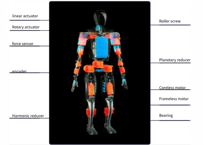Application of motors in humanoid robots showing internal motor placement for joint and limb movement