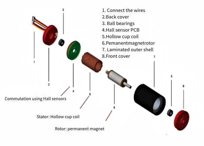 Brushed hollow cup motor system diagram showing internal components and assembly structure
